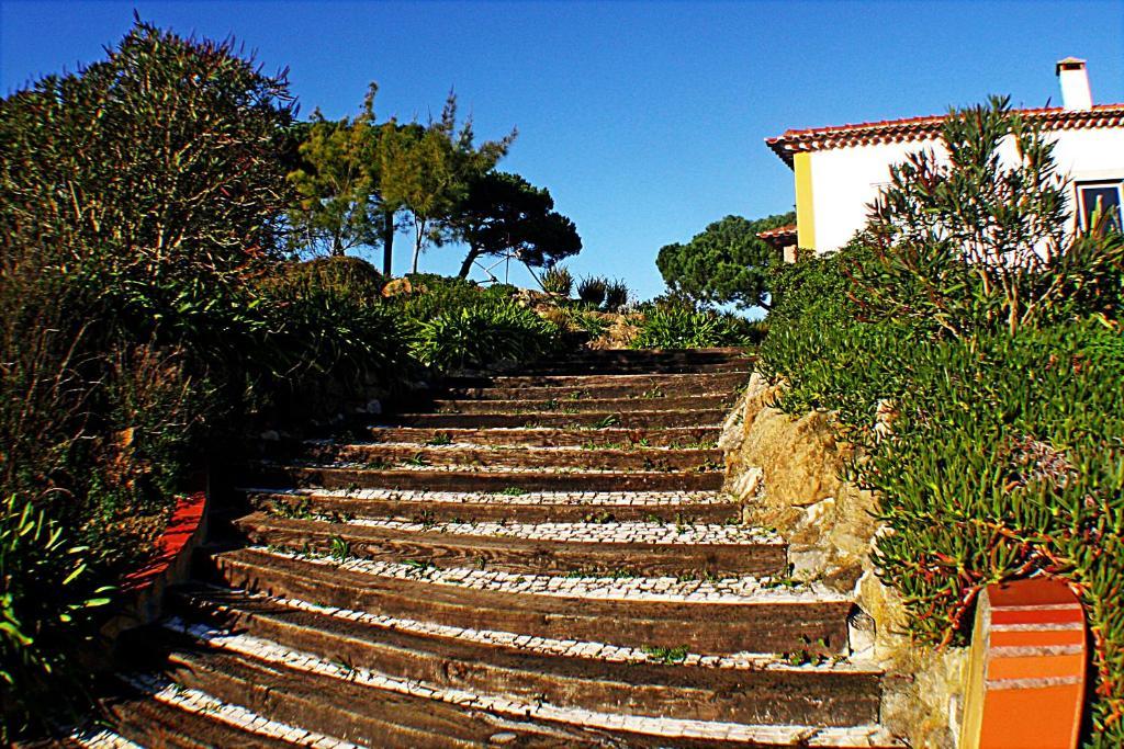 Quinta Da Torre - Obidos Country House Exterior photo